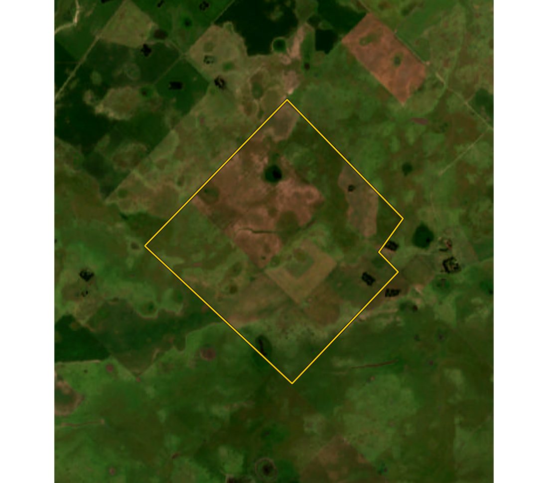 Foto satelital de un campo con su polígono
